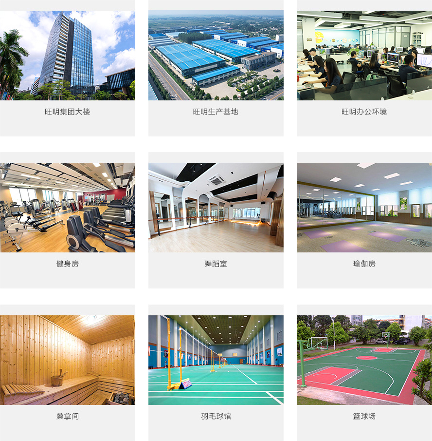 金年会|jinnianhui金年会·(金字招牌)诚信至上官网